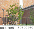 Tree and fence which made brick-like wall back 50690260