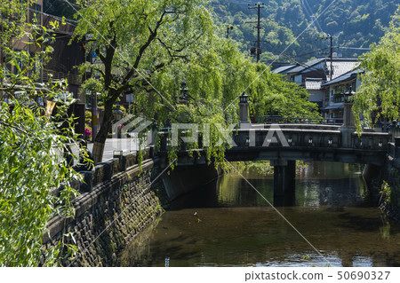 Drum bridge and willow of Kinosaki Onsen Drum bridge and willow of Kinosaki Onsen 50690327