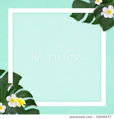Background-Sea-Summer-Beach-Monstera-Plumeria-Frame-Blue Background-Sea-Summer-Beach-Monstera-Plumeria-Frame-Blue 50690877