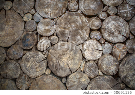 Picture of wall from sawn wooden round logs Picture of wall from sawn wooden round logs 50691156