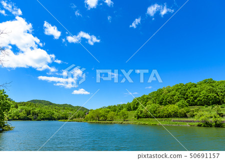 兵庫縣·有馬富士公園 50691157