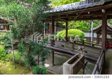 連接寺廟大廳和寺廟大廳的走廊 50691283