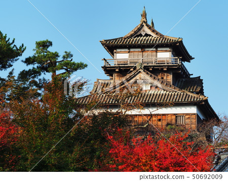 Maruoka Castle of autumn leaves 50692009