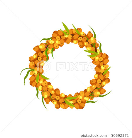 Round wreath of sea buckthorn branches. Vector illustration on white background. 50692371