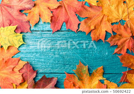 Photo of autumn leaves on blue table 50692422
