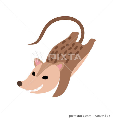 Cute Happy Opossum, Adorable Wild Animal Jumping Vector Illustration Cute Happy Opossum, Adorable Wild Animal Jumping Vector Illustration 50693173