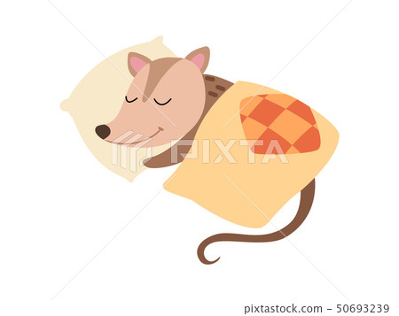 Cute Opossum Sleeping in Bed, Adorable Wild Animal Cartoon Character Vector Illustration Cute Opossum Sleeping in Bed, Adorable Wild Animal Cartoon Character Vector Illustration 50693239