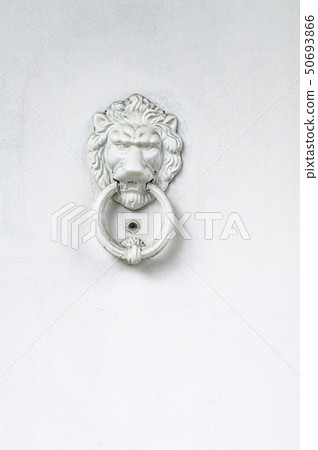 Lion's door knocker 50693866