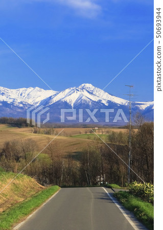 Hokkaido Biei Superb Road 50693944