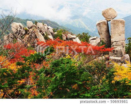 秋天的秋天 50693981