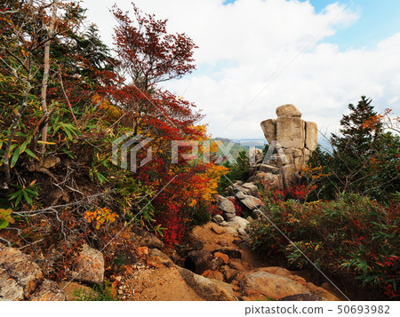 秋天的秋天 50693982