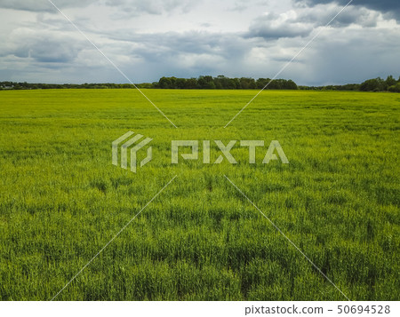 Aerial View green field Aerial View green field 50694528