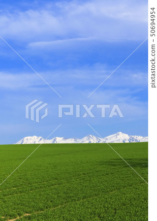 Hokkaido Biei's grassland and remaining snow 50694954