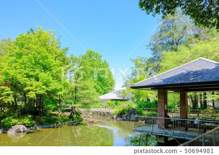 Silkamori no Mori Park 50694981