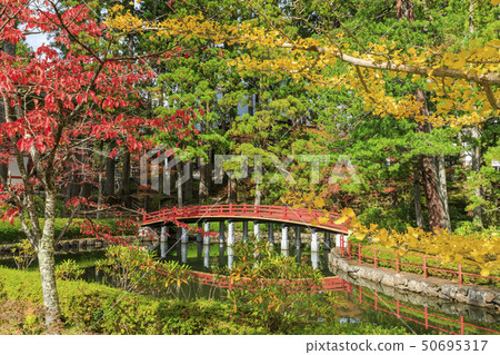 高山秋葉 高山秋葉 50695317