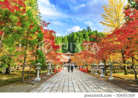 高山秋葉 50695389