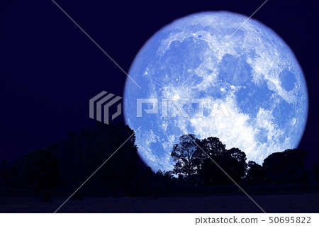 full buck moon on night sky back over silhouette full buck moon on night sky back over silhouette 50695822