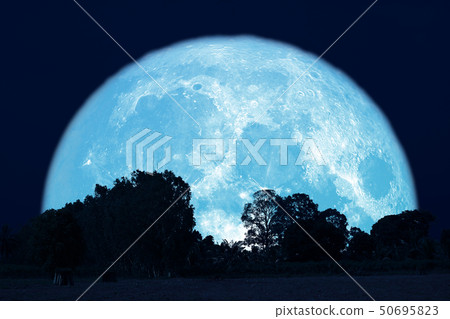 full buck moon on night sky back over silhouette full buck moon on night sky back over silhouette 50695823