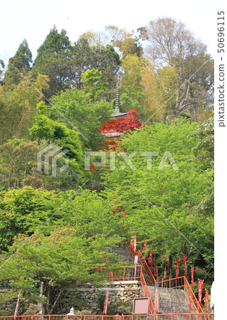 Takezojima滋賀縣 50696115