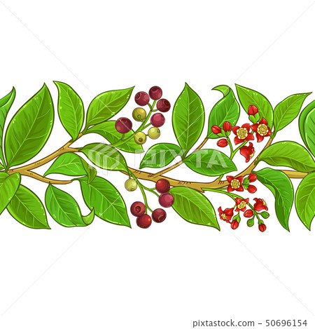 sandalwood vector pattern 50696154