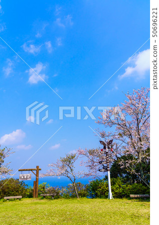 Cherry blossoms of Gonggensan Observatory Park [Nagasaki City] 50696221