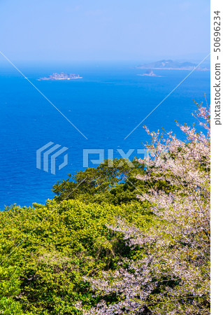 Cherry blossoms of Gonggensan Observatory Park [Nagasaki City] 50696234
