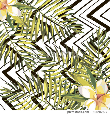 Tropical palm leaves illustratiobs. Jungle leaves isolated on white background. Seamless patterns. Tropical palm leaves illustratiobs. Jungle leaves isolated on white background. Seamless patterns. 50696927