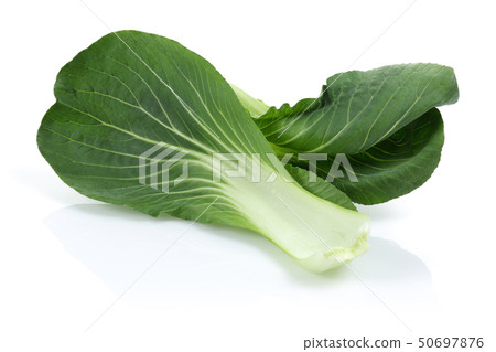 Bok Choy or Chinese cabbage isolated Bok Choy or Chinese cabbage isolated 50697876