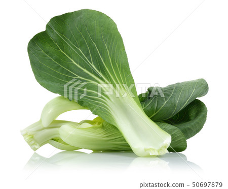 Bok Choy or Chinese cabbage isolated 50697879