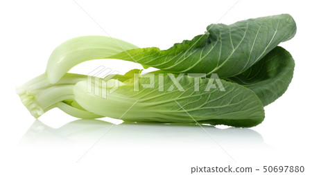 Bok Choy or Chinese cabbage isolated Bok Choy or Chinese cabbage isolated 50697880