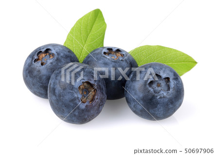 Fresh blueberries with leaves isolated on white Fresh blueberries with leaves isolated on white 50697906