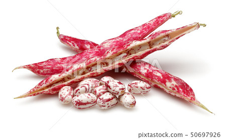 Fresh pinto beans isolated on white Fresh pinto beans isolated on white 50697926