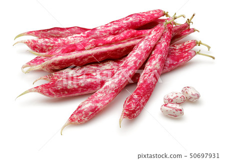 Fresh pinto beans isolated on white Fresh pinto beans isolated on white 50697931