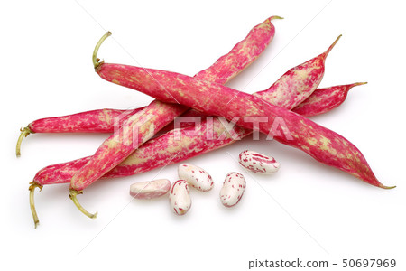 Fresh pinto beans isolated on white 50697969