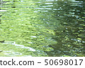 池塘水（綠色） 50698017