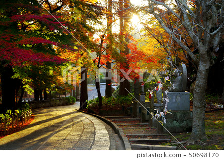 Autumn leaves (December 2018) of Shimane Prefecture Ichibata Yakushi Autumn leaves (December 2018) of Shimane Prefecture Ichibata Yakushi 50698170