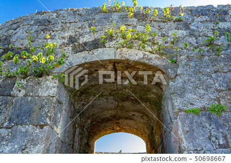 拱門吱吱作響的石頭Zakimi城堡沖繩 50698667
