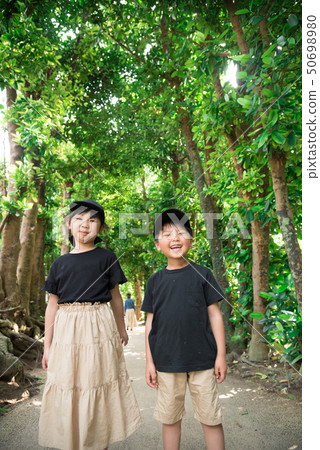 Fukugi trees in Bise 50698980