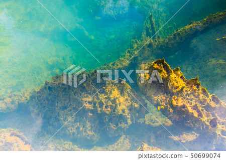 Natural hot spring in tropical forests in Thailand Natural hot spring in tropical forests in Thailand 50699074