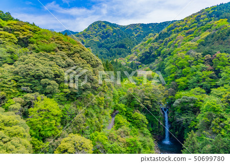 Waterfall of large shelf of Suzu River valley in Fuji City, Shizuoka Prefecture Waterfall of large shelf of Suzu River valley in Fuji City, Shizuoka Prefecture 50699780