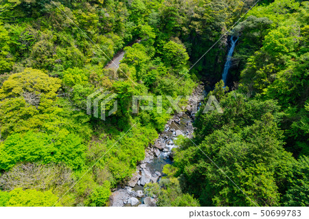Waterfall of large shelf of Suzu River valley in Fuji City, Shizuoka Prefecture Waterfall of large shelf of Suzu River valley in Fuji City, Shizuoka Prefecture 50699783