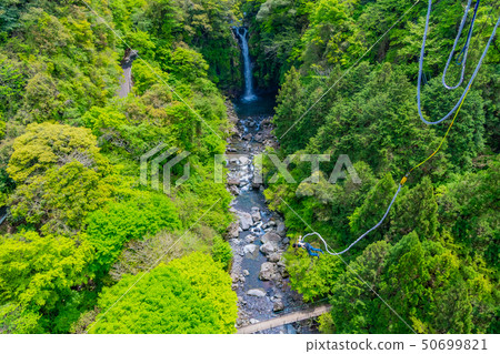 Bungee Jumping in the Suzu River Valley, Fuji City, Shizuoka Prefecture Bungee Jumping in the Suzu River Valley, Fuji City, Shizuoka Prefecture 50699821