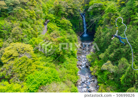 靜岡縣富士市鈴祖河流域的蹦極跳 50699826