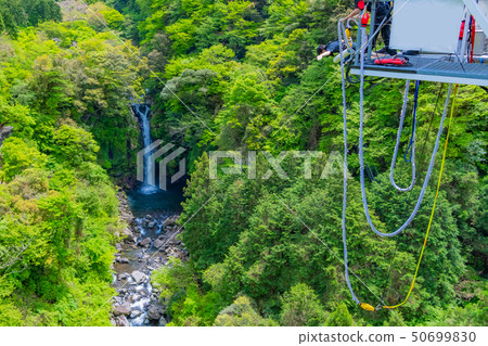 Bungee Jumping in the Suzu River Valley, Fuji City, Shizuoka Prefecture Bungee Jumping in the Suzu River Valley, Fuji City, Shizuoka Prefecture 50699830
