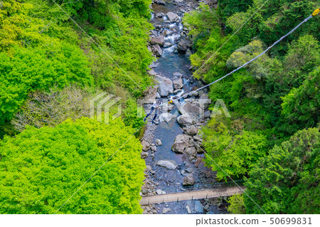 靜岡縣富士市鈴祖河流域的蹦極跳 50699831