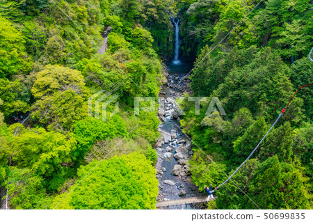 靜岡縣富士市鈴祖河流域的蹦極跳 50699835
