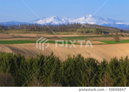 Hokkaido Biei Hill and Asahidake 50699847