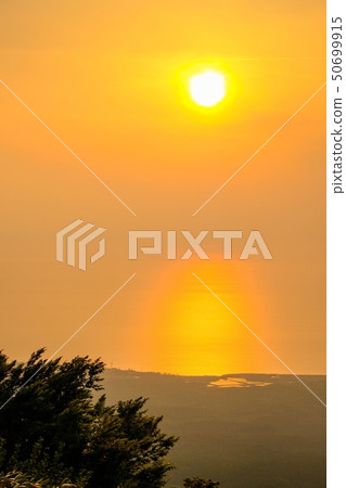 Bird sea blue line at dusk 50699915