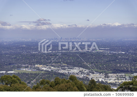 Nature in Dandenong mountain Melbourne 50699980