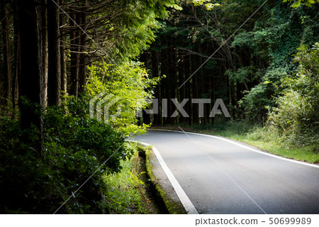 Mountain Road 50699989
